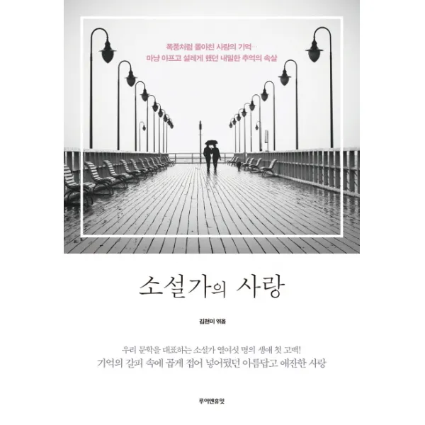 소설가의 사랑:폭풍처럼 몰아친 사랑의 기억 루이앤휴잇