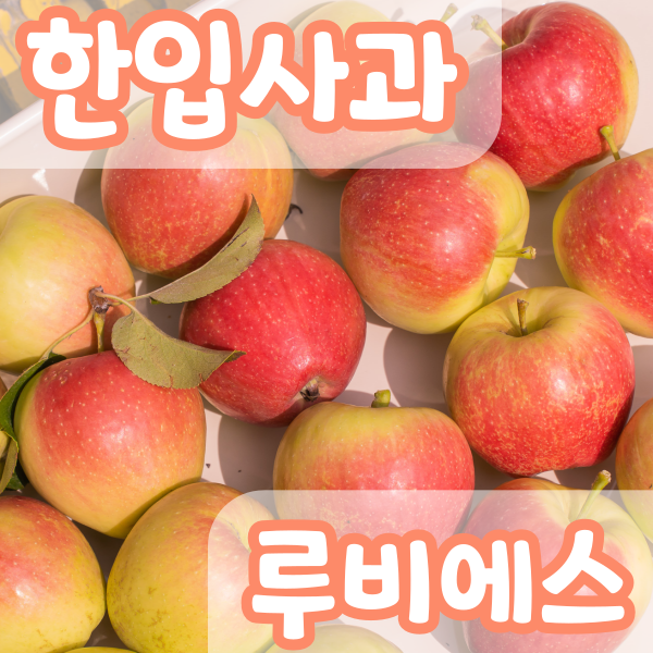 [천사와농사꾼] 경북 미니 프리미엄 루비에스 한입 사과 1.5Kg, 미니사과 1.5Kg