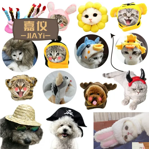 어반30 반려동물 필수템 강아지 고양이 모자 펫모자 떨림 밀짚모자 머리띠, 오리배를 느끼다