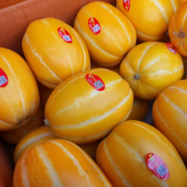 성주참외 가정용 실속형2kg5kg10kg, 1개, 가정용5kg(소과)