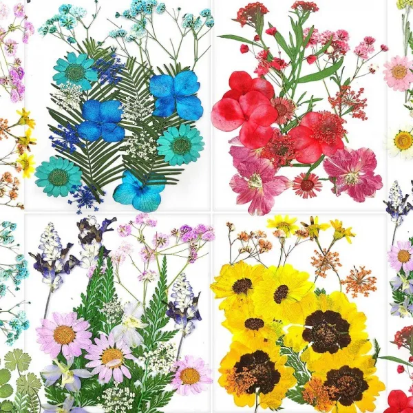 수지용 건화 76PCS 천연 혼합 건식 다발성 건식화잎 액세서리 장식 공예용 건식화 양치류 양치류 네일, 1