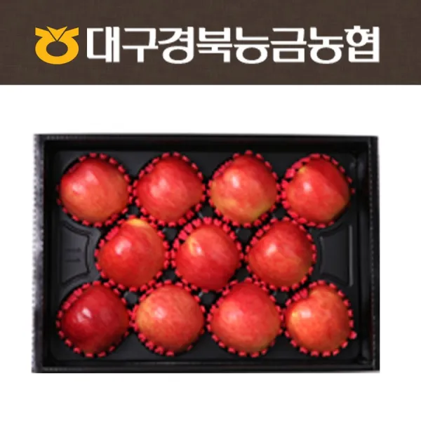 [대구경북능금농협] 선물용 안동사과 4kg 10~13과, 1박스