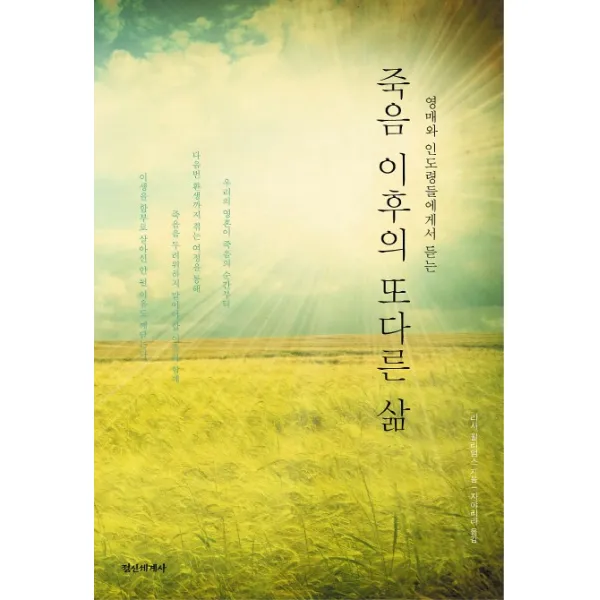 죽음이후의 또다른 삶:영매와 인도력들에게서 듣는, 정신세계사