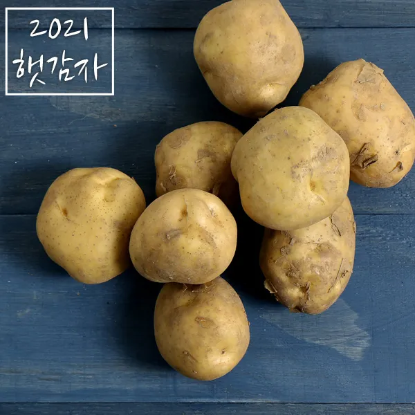 포슬포슬 맛있는 감자, 중 10kg