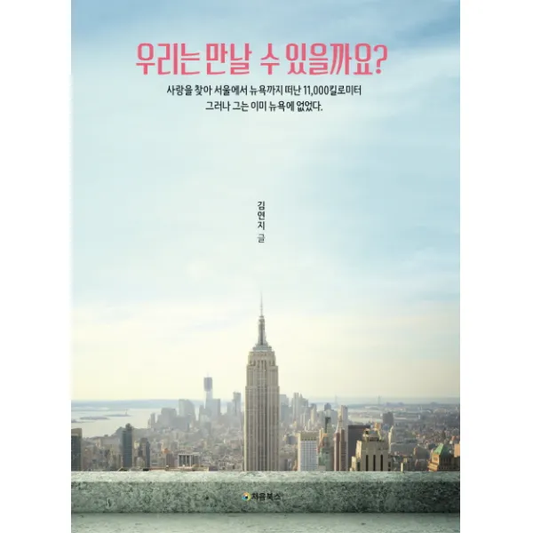 우리는 만날 수 있을까요?:사랑을 찾아 서울에서 뉴욕까지 떠난 11 000킬로미터, 처음북스