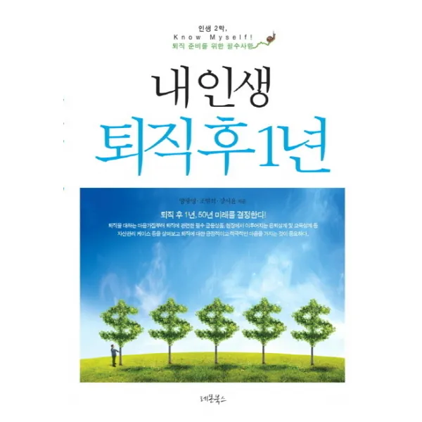 내 인생 퇴직 후 1년 : 인생 2막 퇴직 준비를 위한 필수사항, 레몬북스