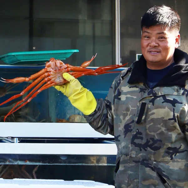 명품 울진 대게 특산물 수율85%보장 당일조업 생물대게 산지직송, 01번-(소)3마리-총1kg
