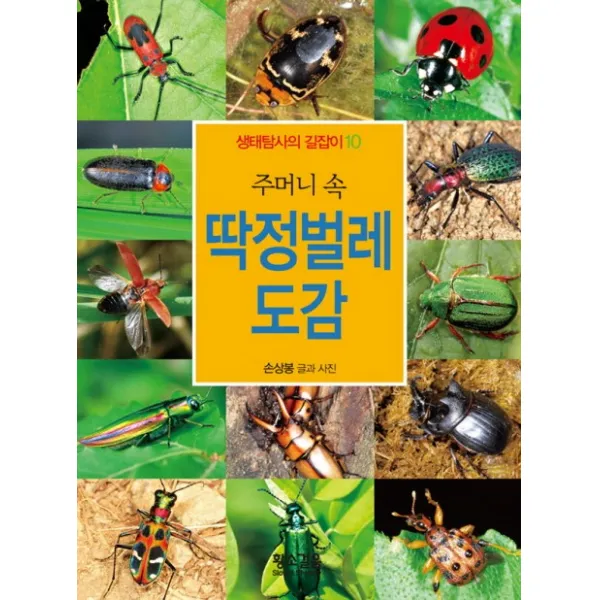 주머니 속 딱정벌레 도감, 황소걸음