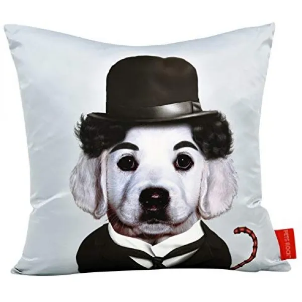 Nmt 제국 예술 직접적인 애완 동물 바위 Hrh 장식적인 방석 P040101kazp7ny2 Tramp