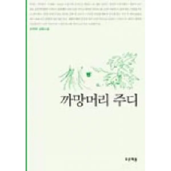 까망머리 주디(푸른도서관 3), 푸른책들