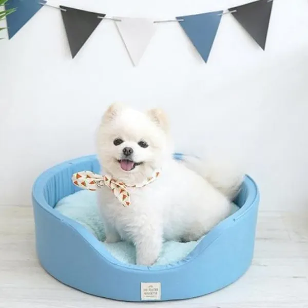 비티엔 4계절 사용가능한 휴식공간 예쁜색감으로 우리 아이를 돋보이고 편안하게 해주는 원형베트 M 블루 E-1333100