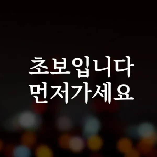 윈스턴 초보운전 아이가타고있어요 아이먼저 극한초보 차량스티커 40종, 1개, 12.명조-초보-블랙