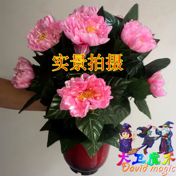 마술 도구 다비드 무대 화분에 심은 자 열다 로즈 원격조종 느리다 꽃이 피다 웨딩 결혼기념일 서원수 전업 2470727696, 분홍모란꽃(전기못판)20송이화분에심은꽃70cm