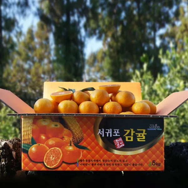 [귤담원] 귤담원 제주 제철 감귤, 1박스, 16.감귤 1kg 소과(2S-S)★2개 구매시 2.5kg