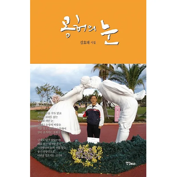 공허의 눈:김효태 시집, 연인M&B