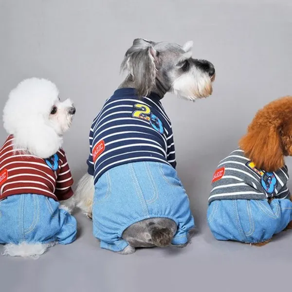  업체배송 막둥이 강아지 옷 그레이l