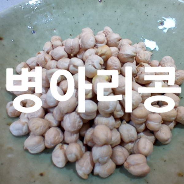 [후계자농산] 수입 캐나다산 병아리콩 이집트콩 백태 500g 1kg 먹는법 효능
