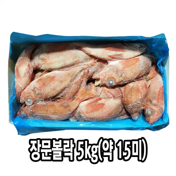다인 장문볼락 5kg 약15미 내외 적어 열기 빨간고기 제사용 제수용 [3406-0]350/500장문볼락5kg