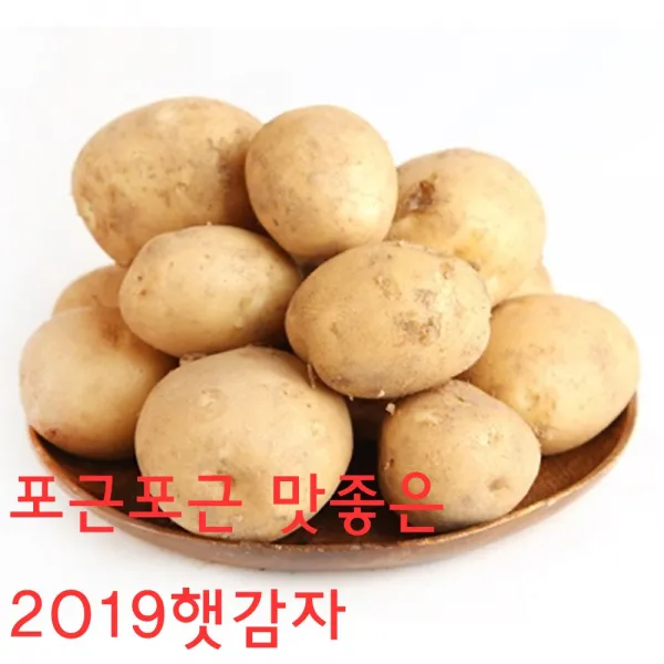 행복드림 포근포근 2019햇감자5kg, 1box, 햇감자5kg대