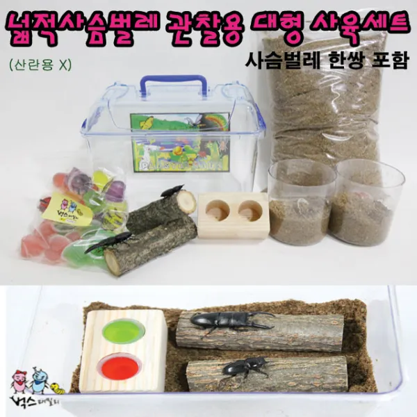 사슴벌레 관찰용 사육세트, 2번