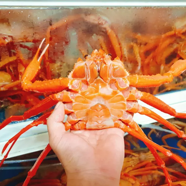 산지직송 당일조업 포항 죽도시장 홍게, 2.3kg(5~8마리)
