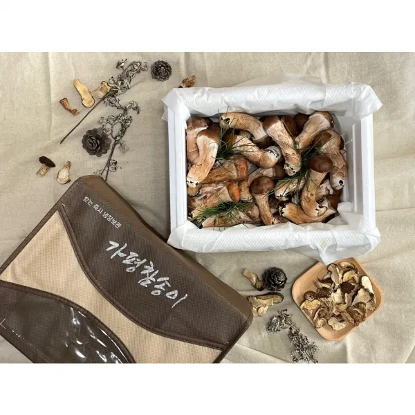 국내산 참송이버섯 오후2시30분전 내일도착(주말 및 공휴일 제외), 선물용포장 1kg x 1박스