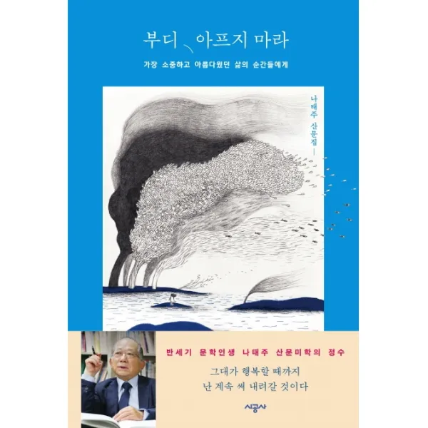 부디 아프지 마라:가장 소중하고 아름다웠던 삶의 순간들에게 | 나태주 산문집, 시공사