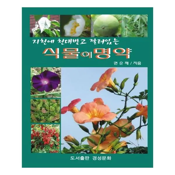 지천에 천대받고 깔려있는 식물이 명약