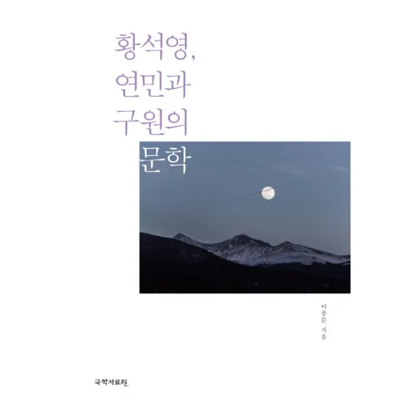 황석영 연민과 구원의 문학, 국학자료원