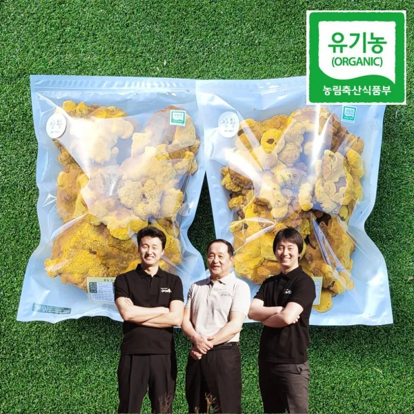 유기농 상황버섯 500g 1개 실속형 500g 원형