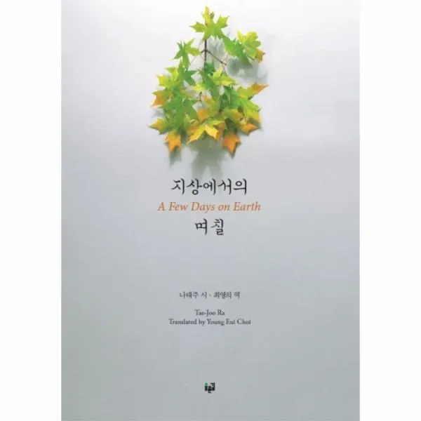 이노플리아 지상에서의 며칠 A FEW DAYS ON EARTH, One color | One Size@1
