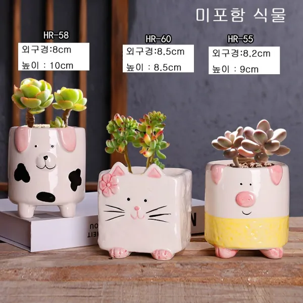 Siteng캐릭터 돼지부엉이다육이 화분 세트D0609활동하다증정미니원예 공구 3종 세트, 사진 색상91+미니원예 공구 3종 세트