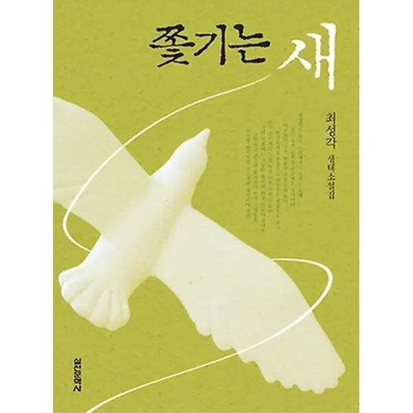 쫓기는 새, 실천문학사