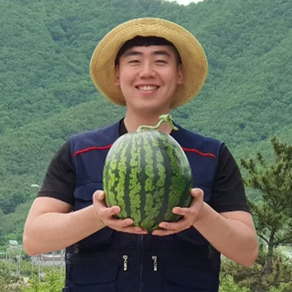 수박 함안 당도 선별 수박 초작 하우스 4키로 5kg 6kg 7 8 9kg 10 우곡 대산 맹동 양구 고당도 꿀 정품 9kg