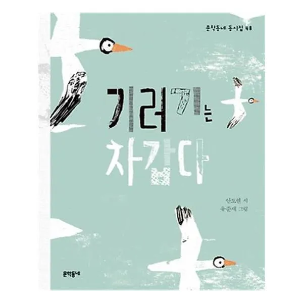 기러기는 차갑다