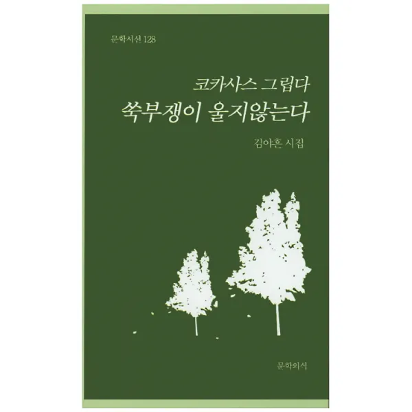 코카사스 그립다 쑥부쟁이는 울지 않는다:김야흔 시집, 문학의식