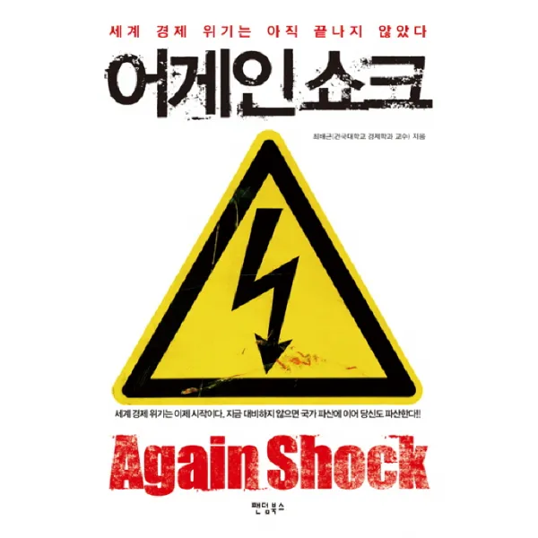 어게인 쇼크:세계 경제 위기는 아직 끝나지 않았다 팬덤북스