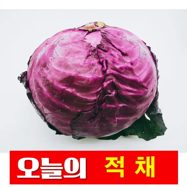 바른채소 적채 1통 신선함을 그대로 가락시장 가락몰 직배송 시스템, 1개