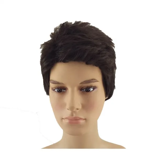 HAIRJOY 검은 가발 남자 짧은 곱슬 머리 계층화 된 합성 머리 갈색 가발 무료 배송, 01 8inches, 01 black