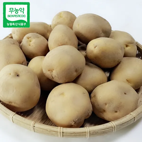  산세로 친환경 감자 중 5kg 1개