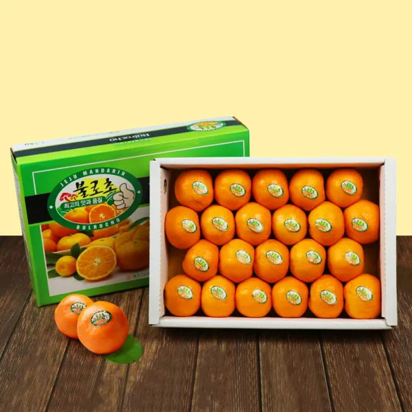제주 불로초 감귤 3kg 1박스 고당도, 단일상품(UFN6700)