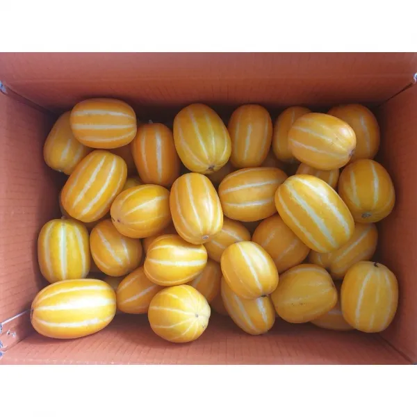 산지직송 당도선별 석군참외 성주참외 5.5kg 실중량, 성주참외 가정용 5.5kg 혼합과