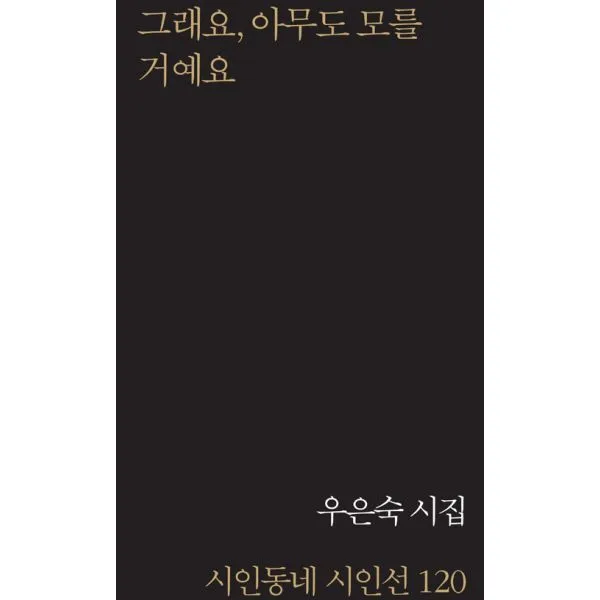 그래요 아무도 모를 거예요, 시인동네