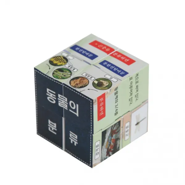 Story 매직큐브 동물의 분류 만들기 5인용 