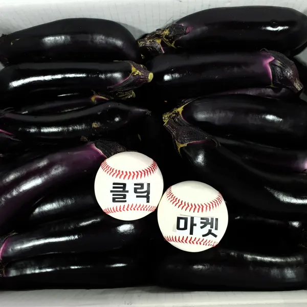 클릭마켓 국내산 가지 10kg