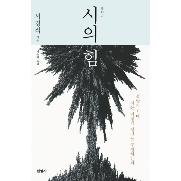 시의 힘:절망의 시대 시는 어떻게 인간을 구원하는가, 현암사