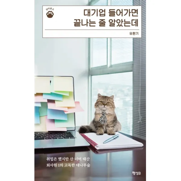 대기업 들어가면 끝나는 줄 알았는데:취업은 했지만 산 너머 태산 회사원 1의 고독한 대나무숲, 행성B, 유환기