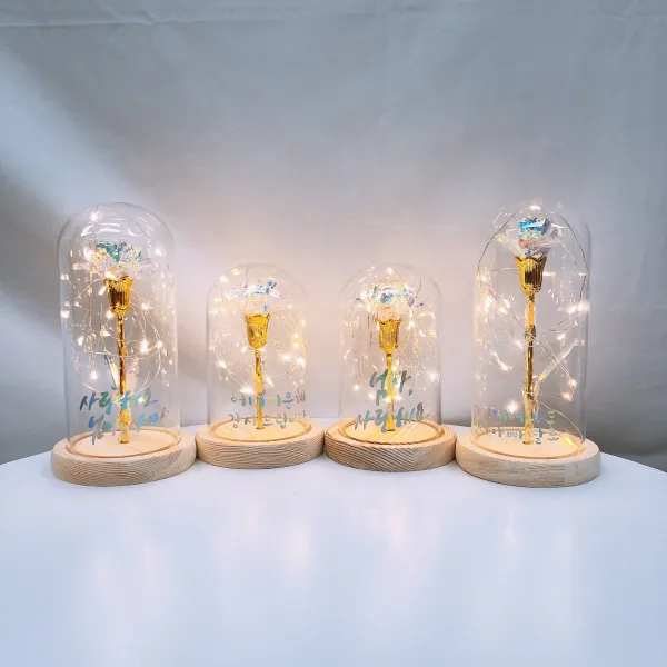 발트728 문구제작 LED 유리돔 홀로그램 카네이션 어버이날 선물 무드등, 작은아이+다시태어나도엄마아빠딸로+건전지