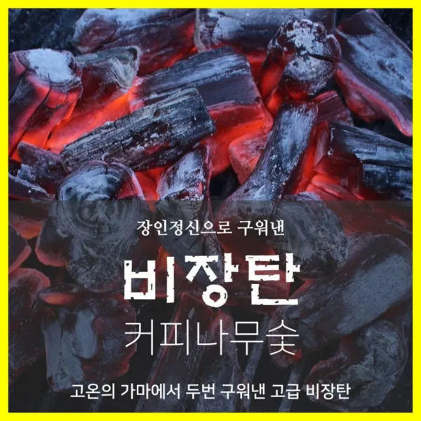 써판몰 쇳소리비장탄 비장탄 700g 캠핑 바베큐 고기 숫 숯, 4개