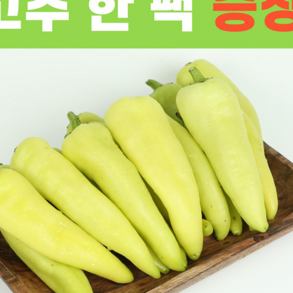 [당일수확]혈당조절 당뇨관리 포천 당조고추1kg